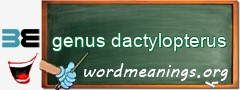 WordMeaning blackboard for genus dactylopterus